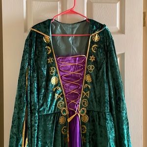 CosplayDiy Winifred Sanderson Costume Witch Cosplay Dress Robes Adult Women + Sz